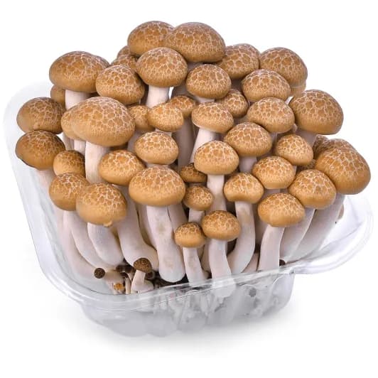 ZIELENIAK Grzyby Shimej 150g. 51,93 zl/kg