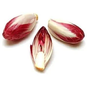 ZIELENIAK Cykoria czerwona 250g. 63,96 zl/kg