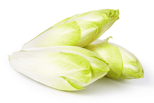 ZIELENIAK Cykoria biala 500g. 19,98 zl/kg