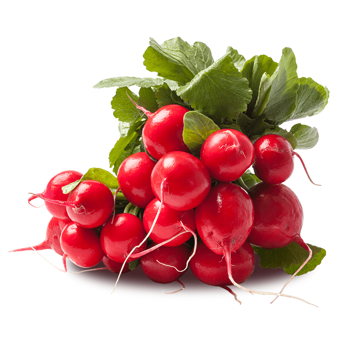 ZIELENIAK Rzodkiewka - peczek. 11,07 zl/kg